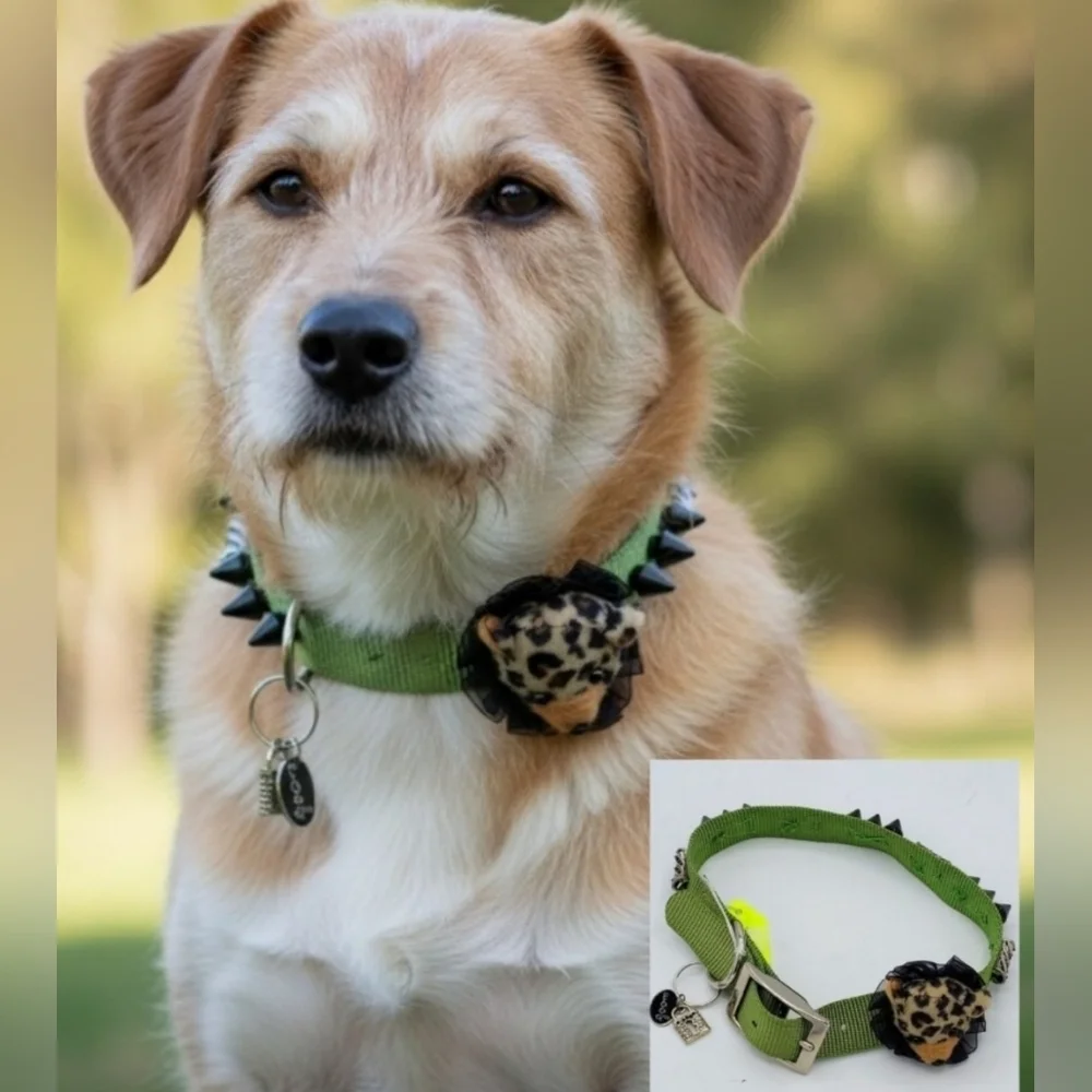 CUSTOMIZED Dog Collar Wild Thing Cub Green with Bling and Black Spikes